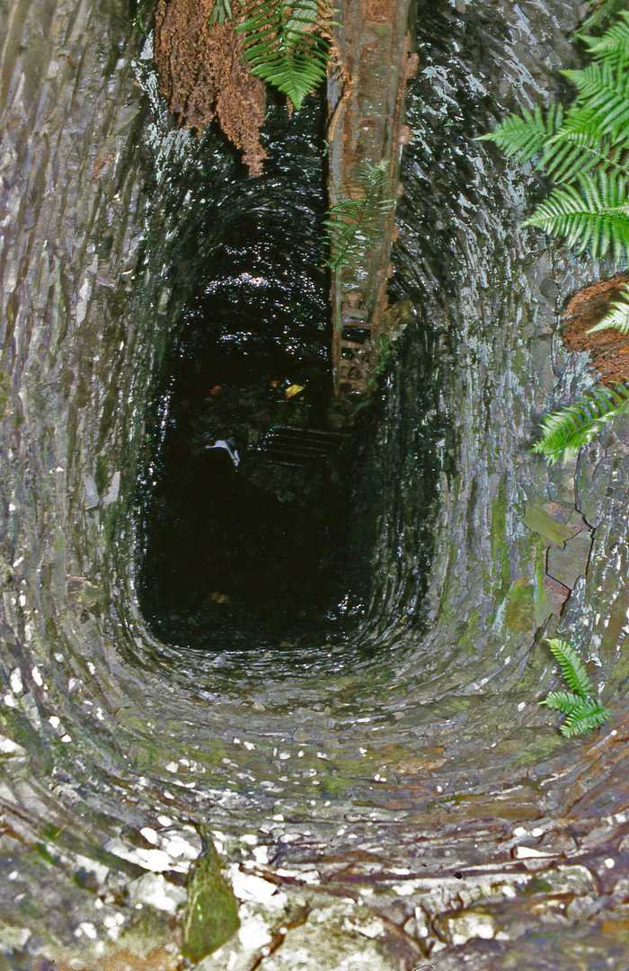 Logaulas Engine Shaft down view Aug 1986, submitted by Dickie Bird on 14-03-2026.
© Richard Bird Logaulas Engine Shaft down view Aug 1986